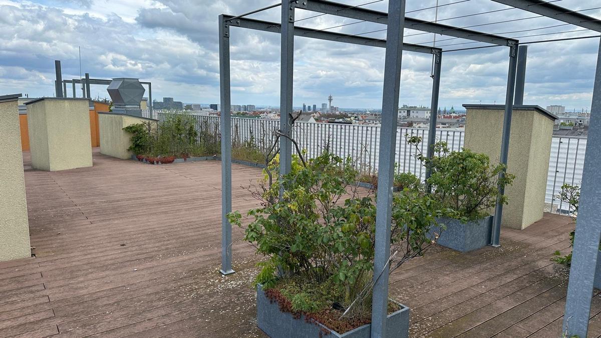 12 Gemeinschaftsdachterrasse