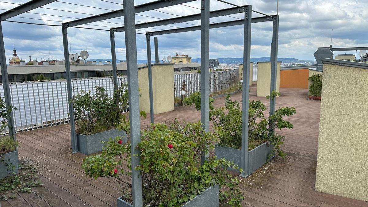 13 Gemeinschaftsdachterrasse