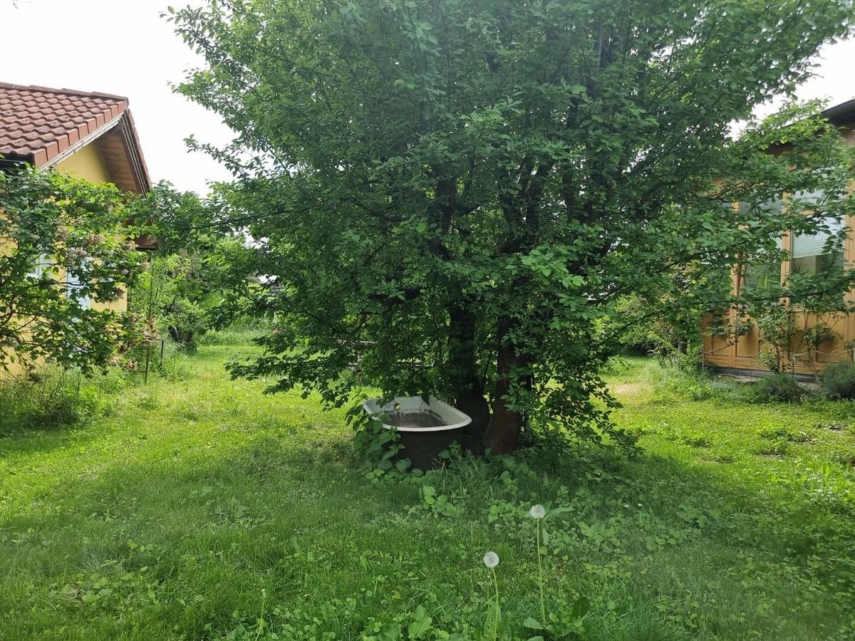 15. Garten