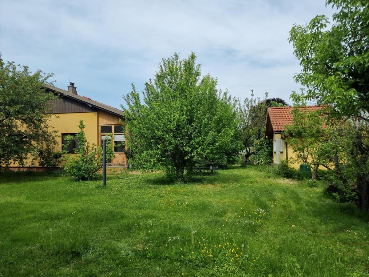 16. Garten