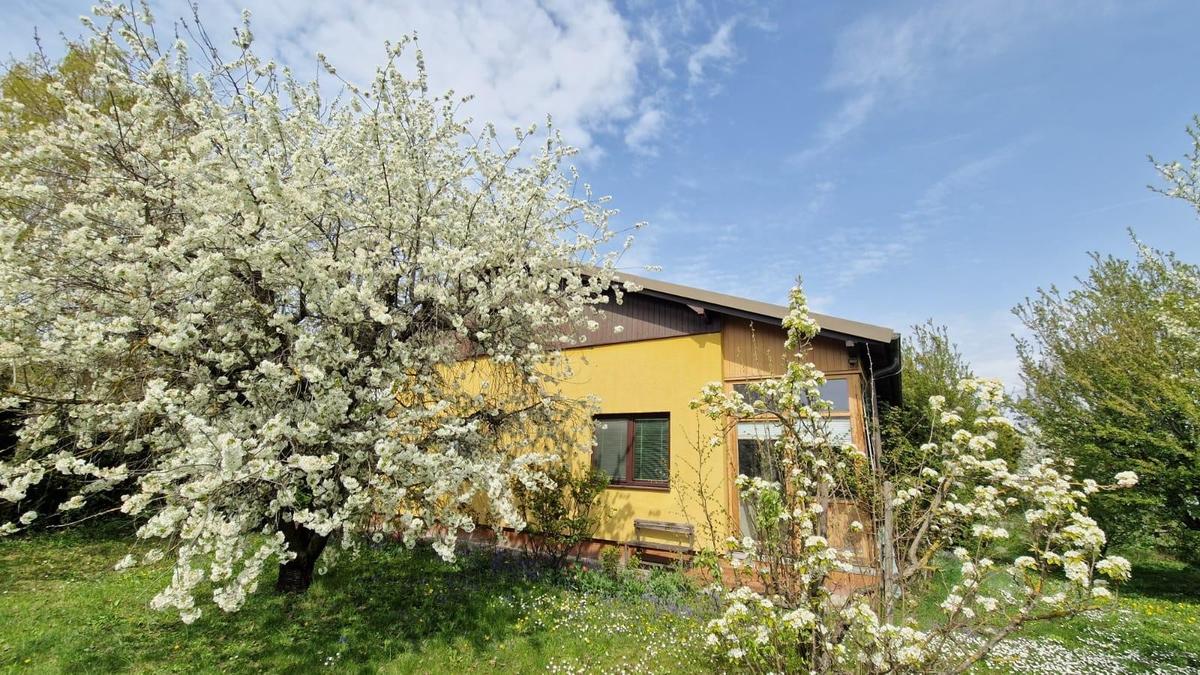 EFH 2325 Velm Gartenansicht