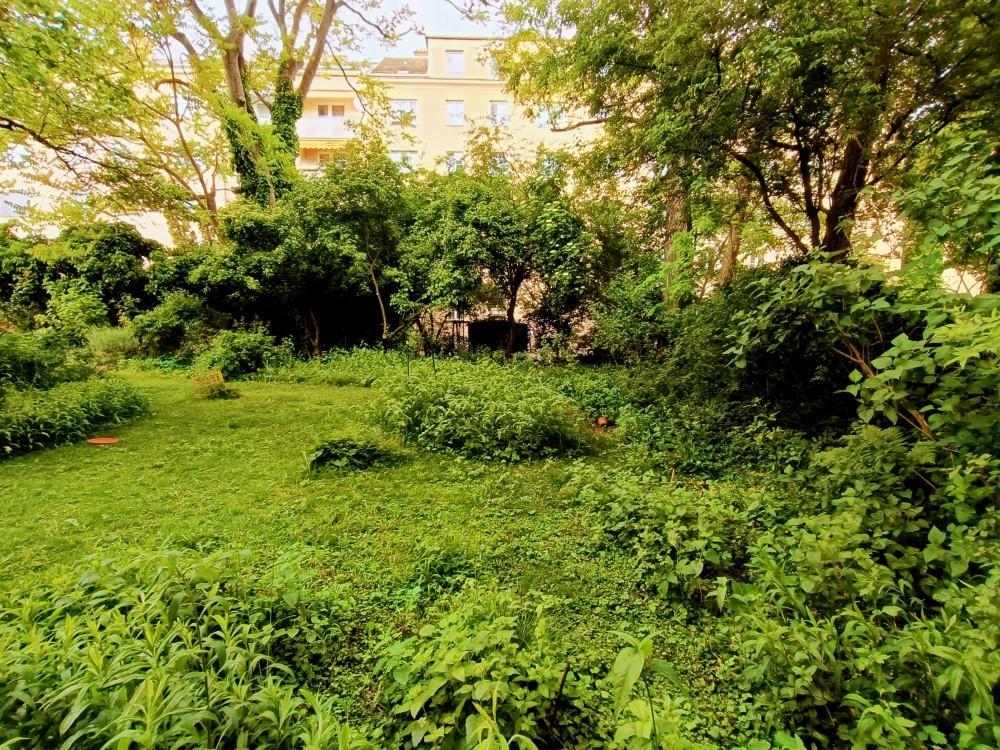 Gemeinschaftsgarten