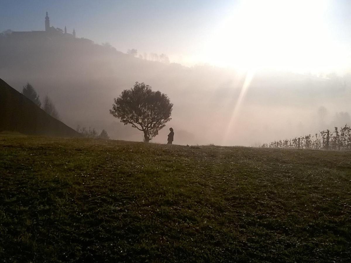 Ausblick nach Osten