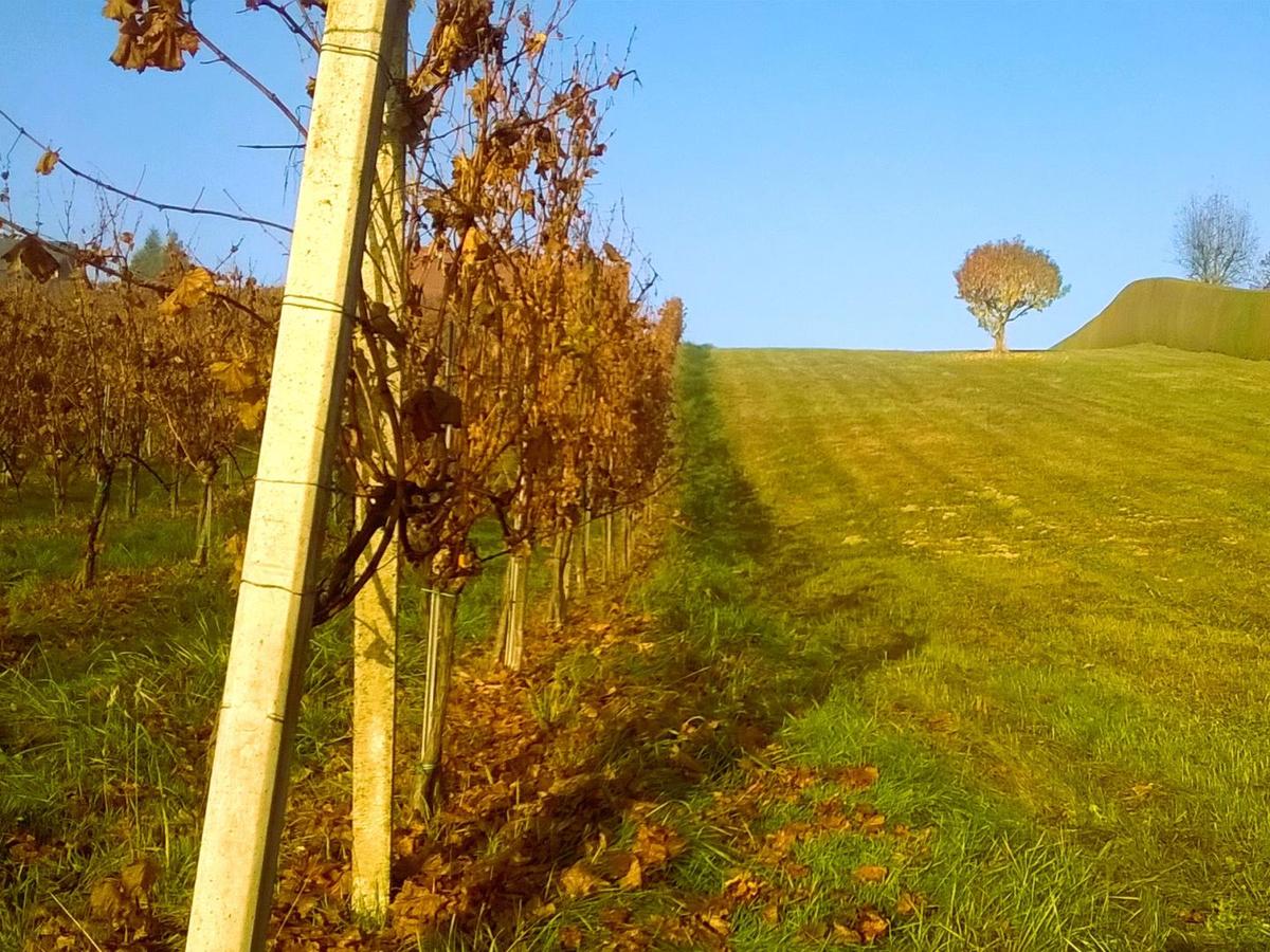 Stimmung