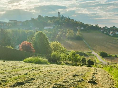 2 ERSCHLOSSSENE BAUGRNDE MIT OBSTBAUM-BESTAND UND WEINREBEN IM VULKANLAND DER SDOSTSTEIERMARK