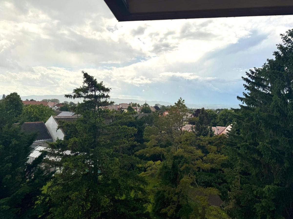 Ausblick