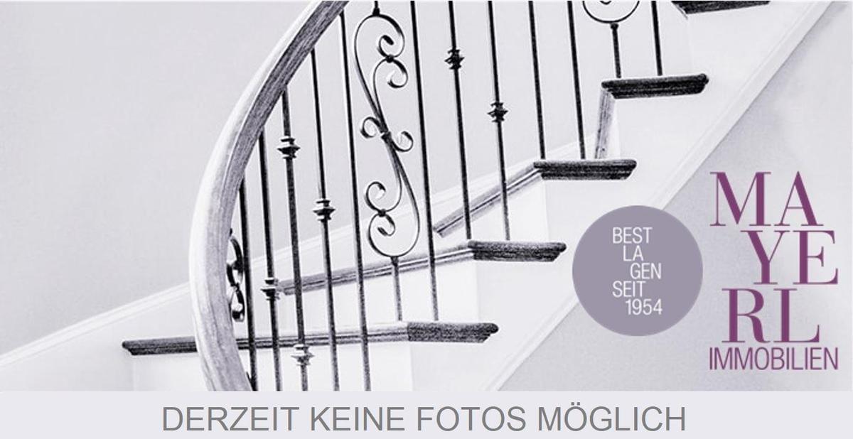 MAYERL - DERZEIT KEINE FOTOS MGLICH