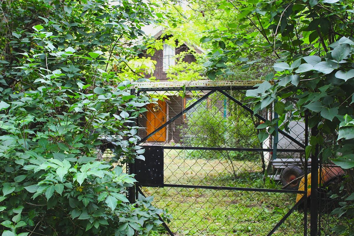 Hintereingang - Haus