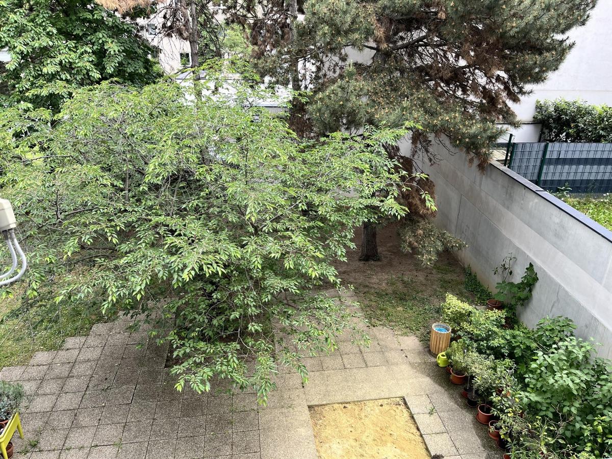 Ausblick in den Garten
