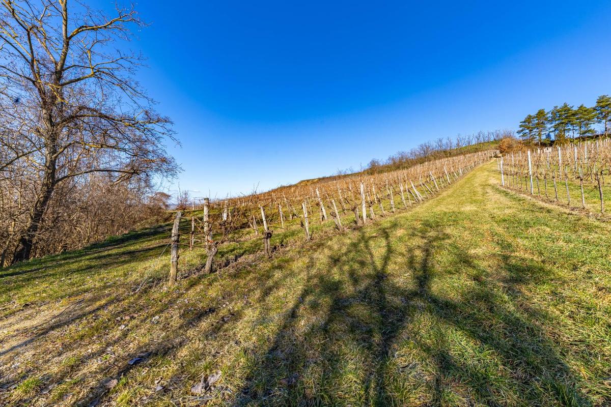 IMG_4930-HDR