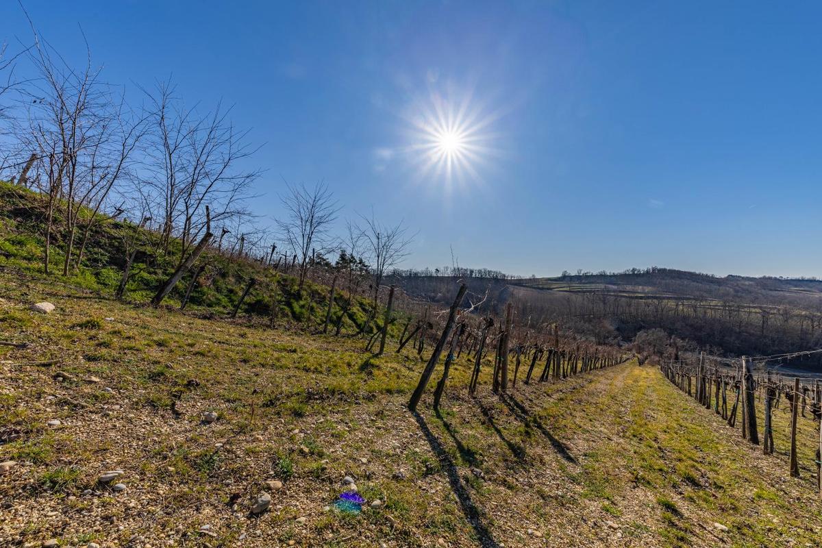 IMG_4921-HDR