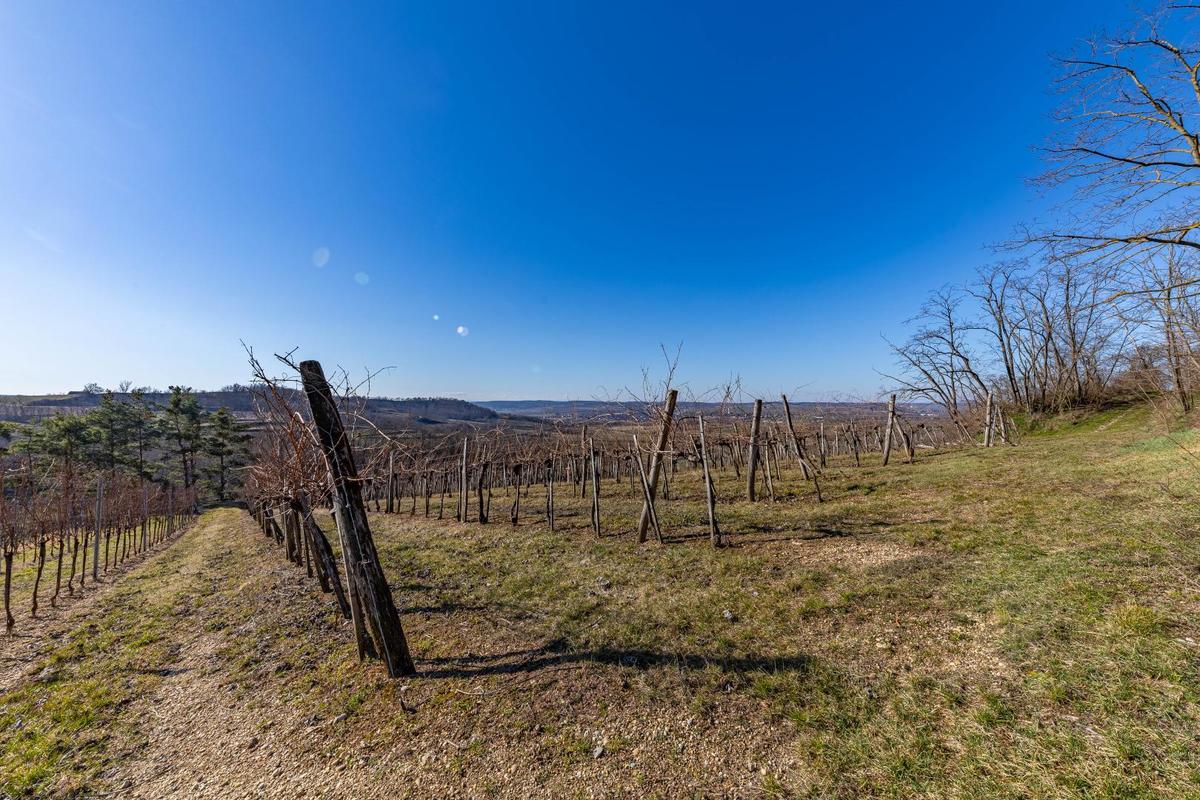 IMG_4924-HDR