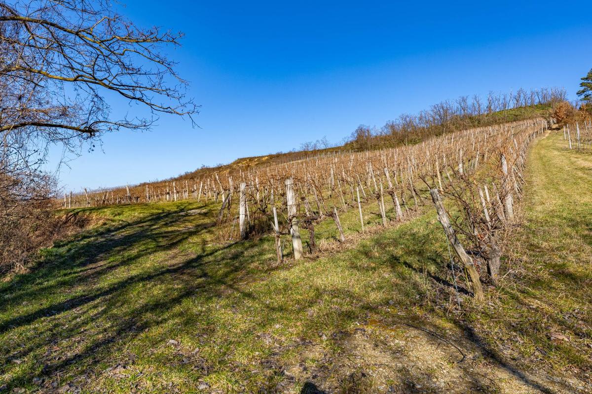 IMG_4927-HDR