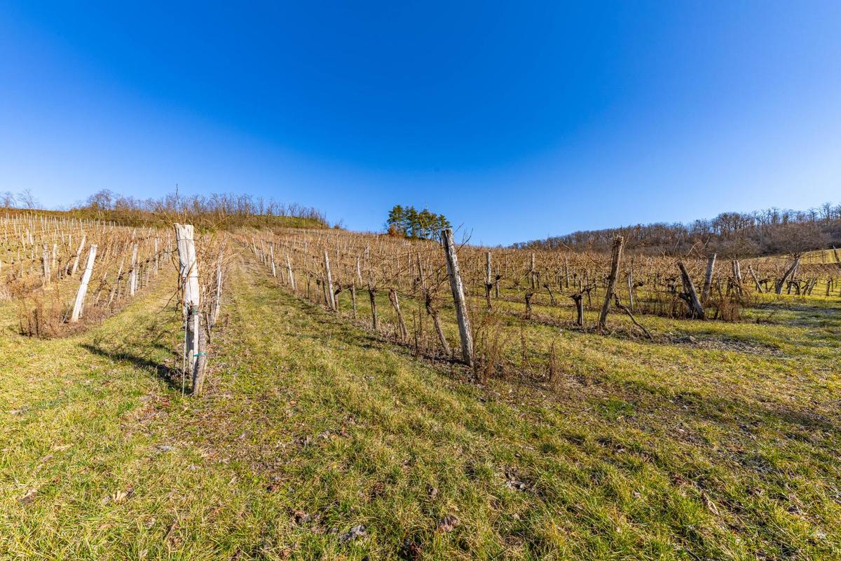 IMG_4933-HDR