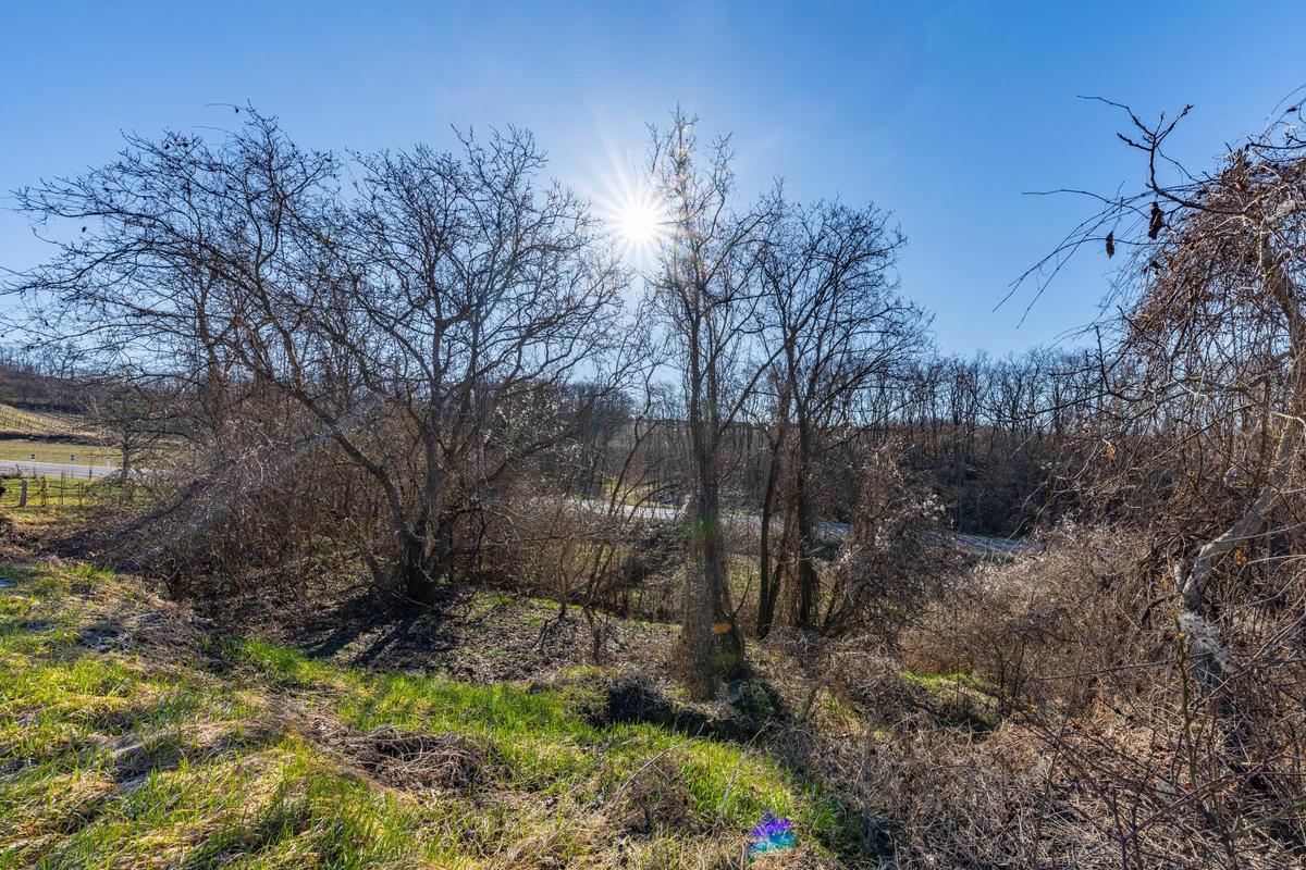 IMG_4936-HDR
