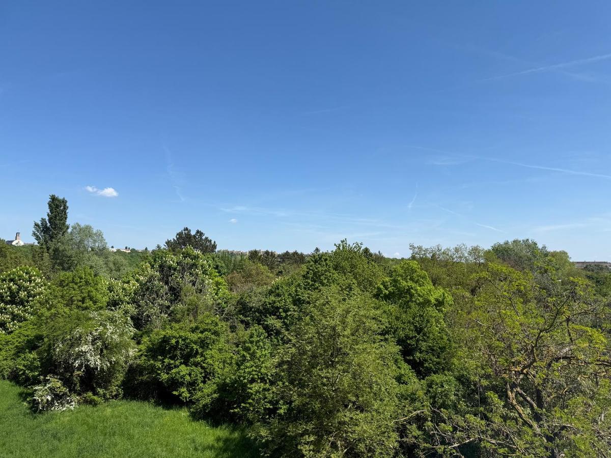 Blick aus dem Schlafzimmer