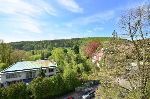 Fernblick 2