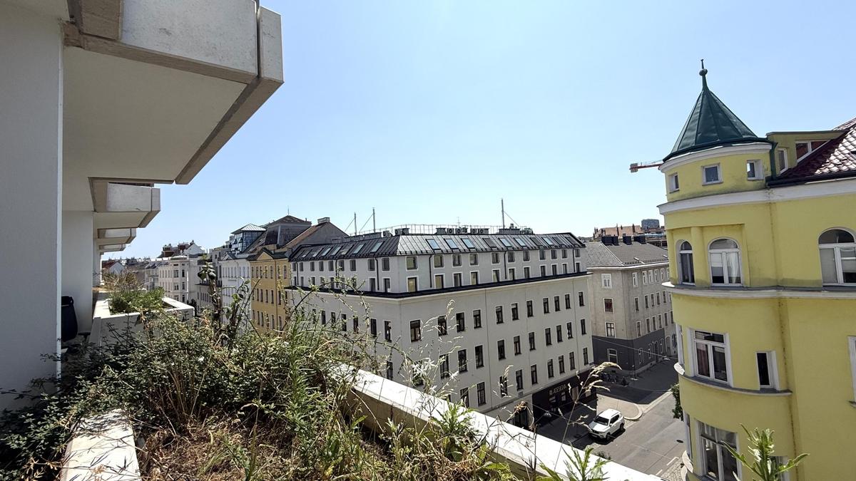 Weitblick