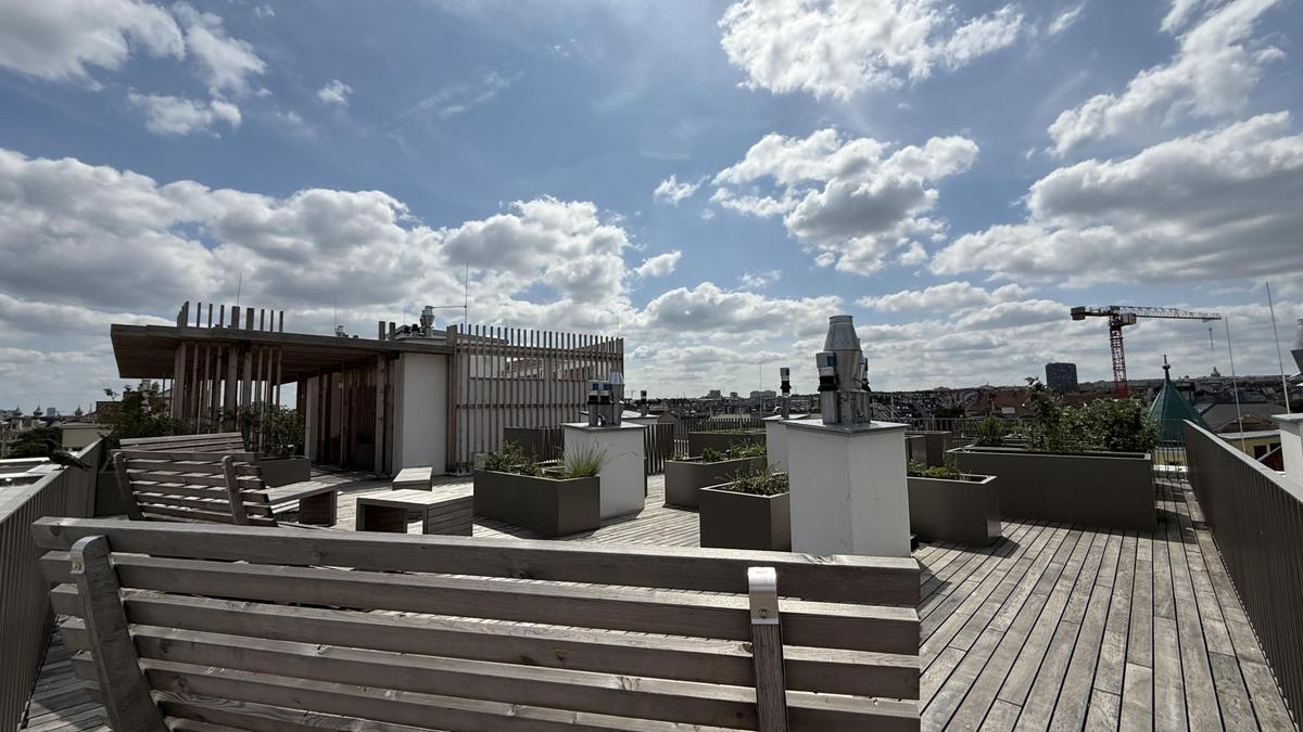 Allgemeine Dachterrasse und Hochbeete