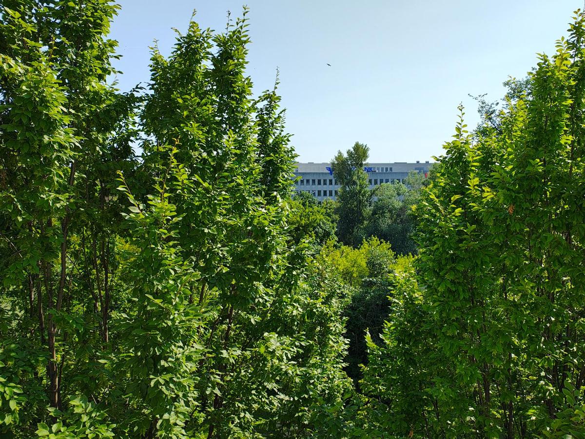 Ausblick