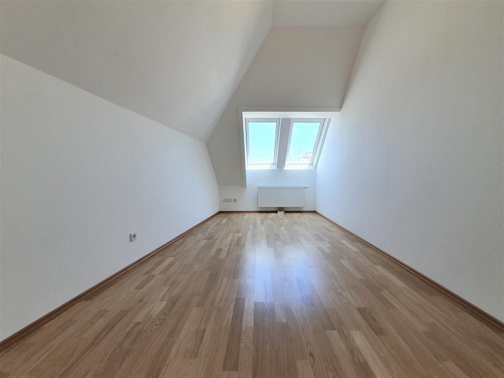 Zimmer3