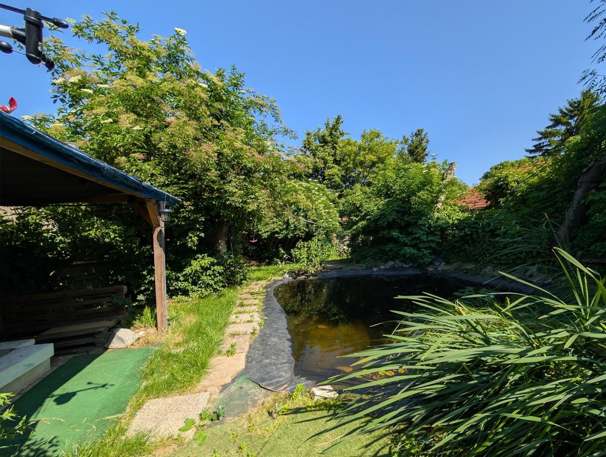 Grillplatz_Teich