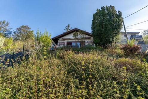 &quot;Raus aus der Stadt ? ohne die Stadt zu verlassen&quot;