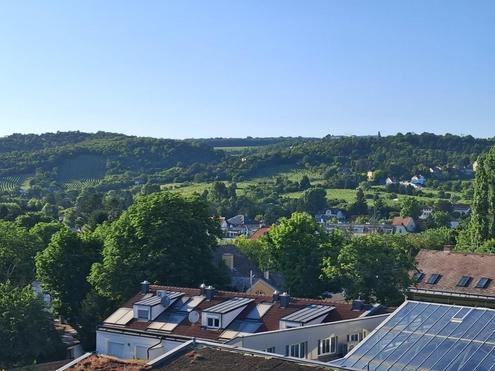 "Bisambergblick - DG-Terrassen-Traum - Penthouse mit Tiefgaragenplatz"