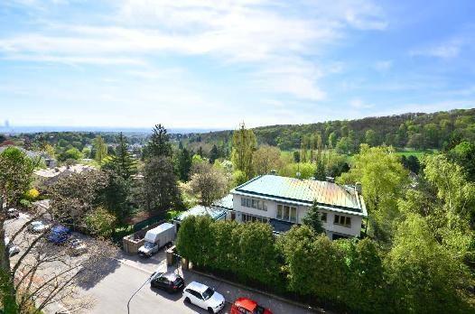 Fernblick 1