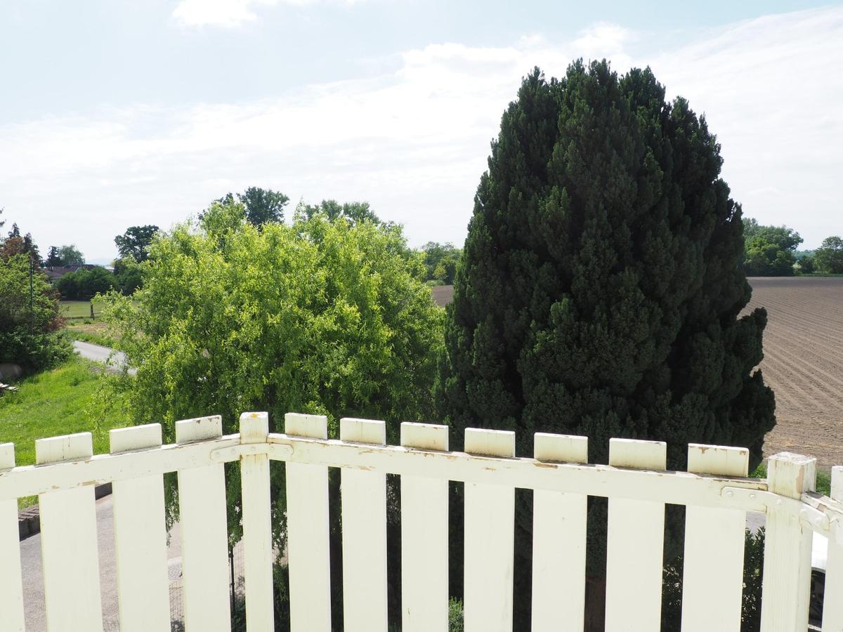 Ausblick vom Balkon