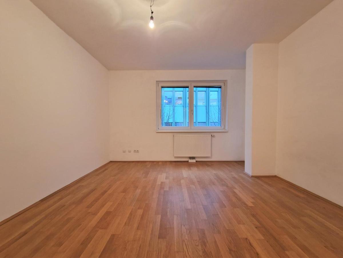 Bild (1)