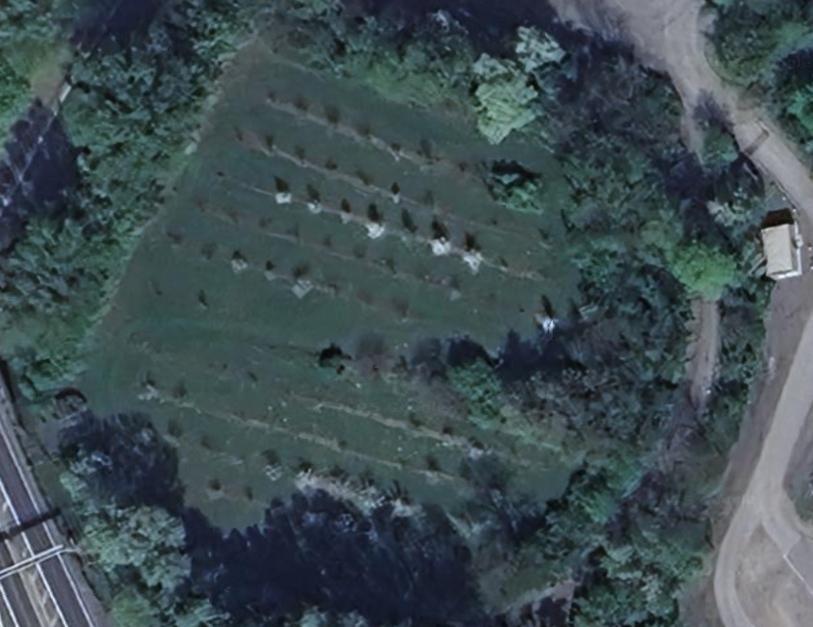 Luftbild