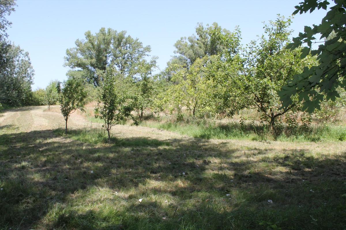 2011 Sierndorf