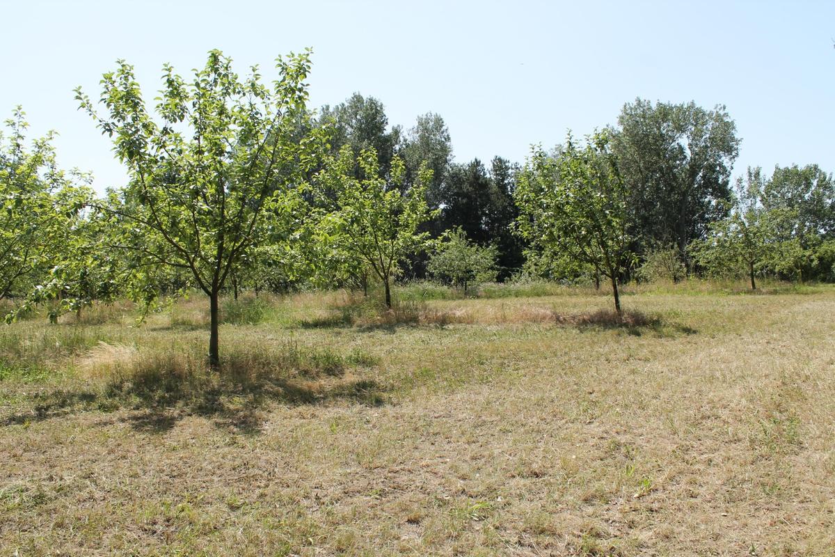 2011 Sierndorf