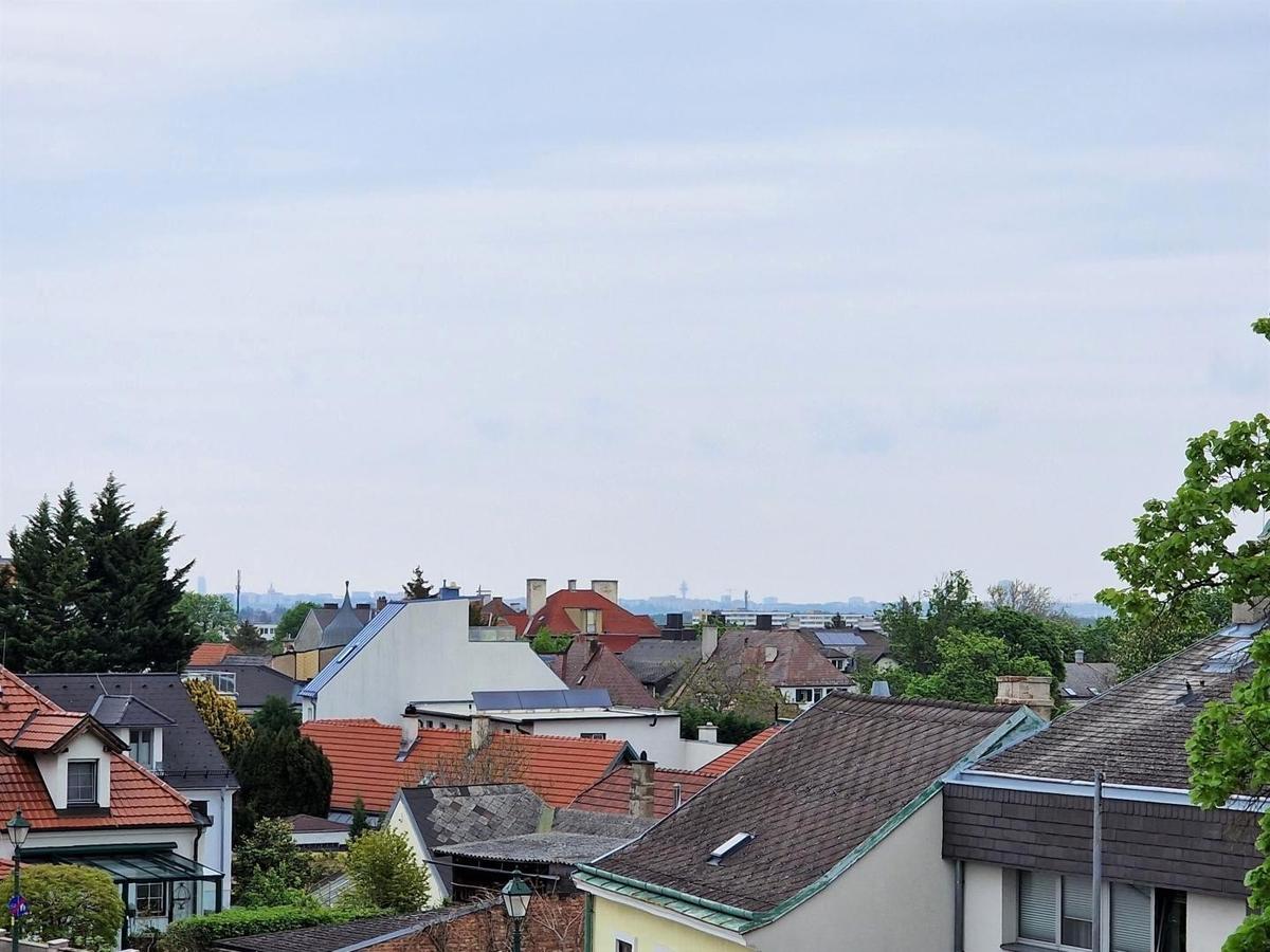 Bild (5)