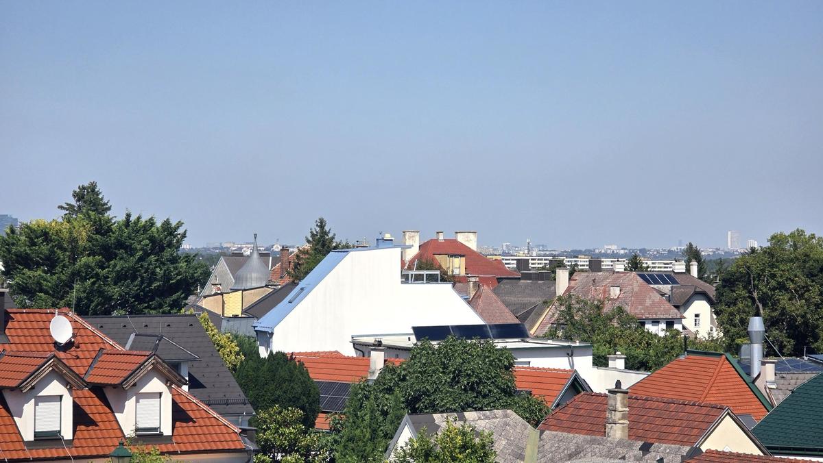 Bild (14)