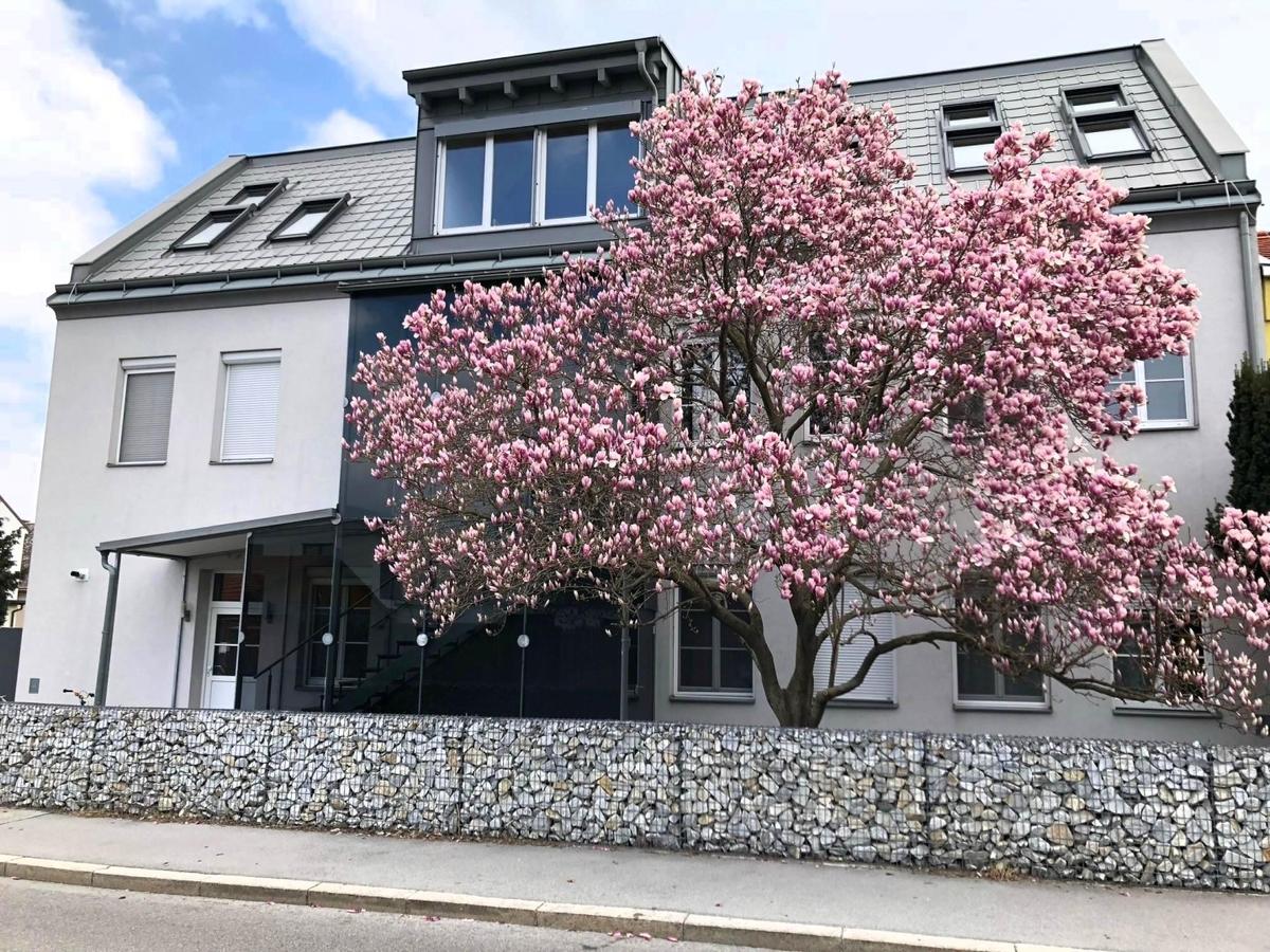 Hausansicht 1