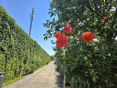 &quot;KLG-Einfamilienhaus auf Eigengrund ? Sanierungsbedrftig, aber voller Mglichkeiten&quot;