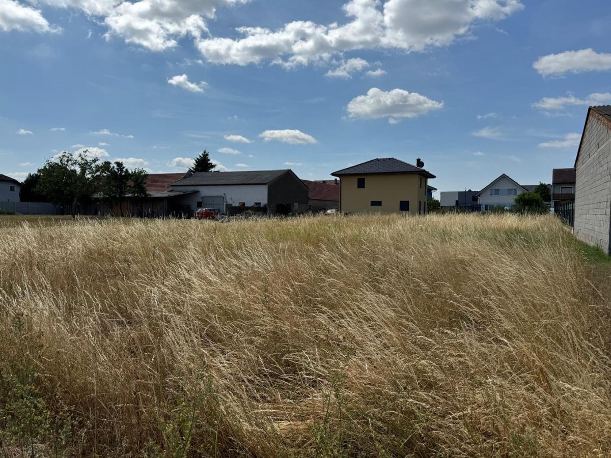 02 Baugrund in Trasdorf
