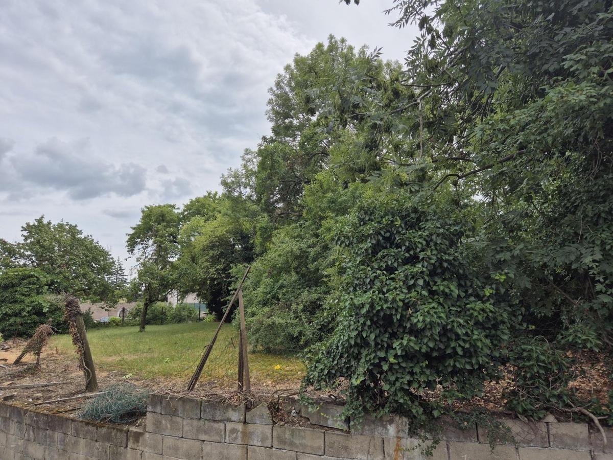2301 Gro Enzersdorf