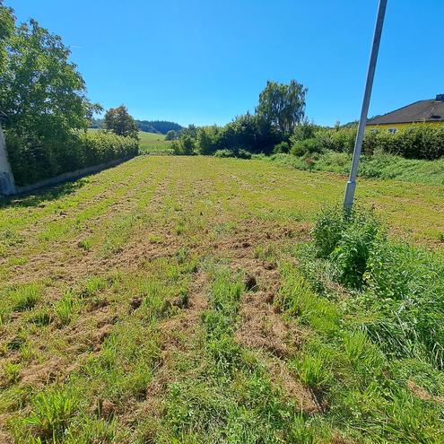 Ein guter Grund weiterzulesen.....