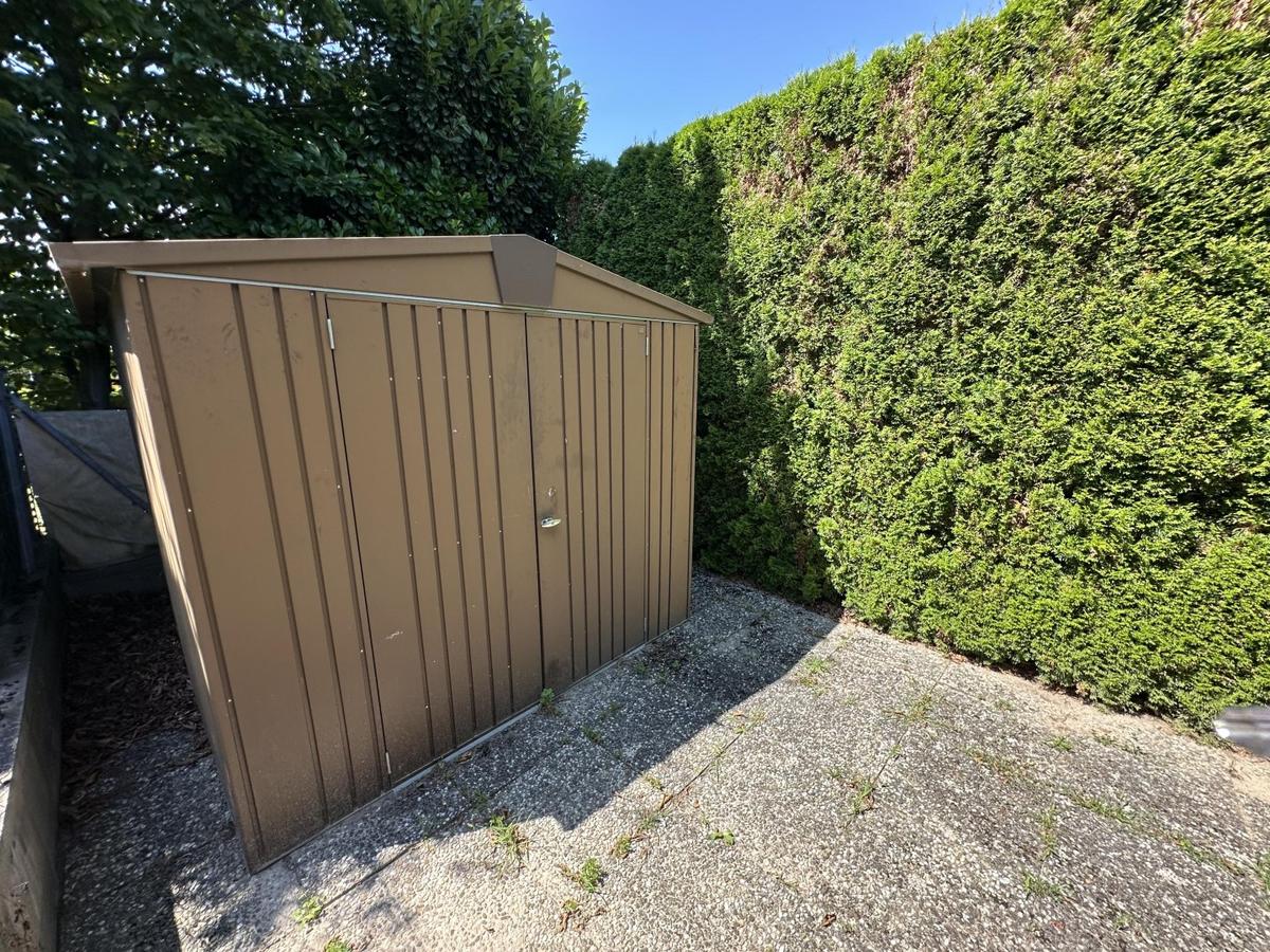 37 Schuppen
