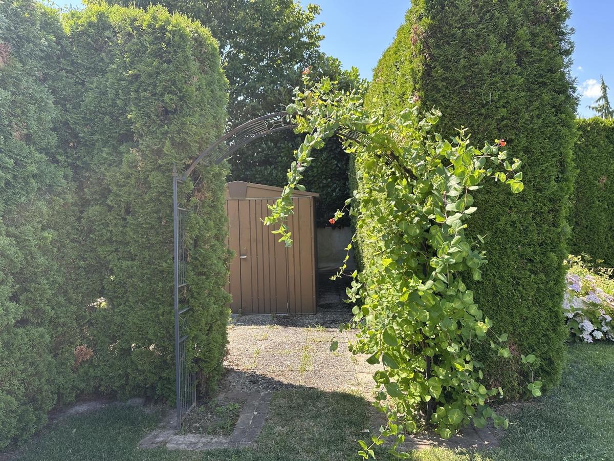 38 Garten