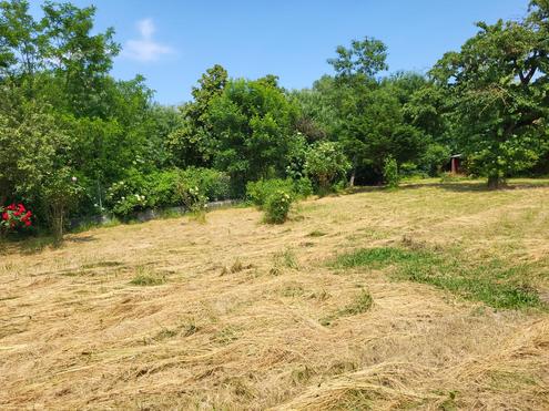 NEUER PREIS!  BAUTRGERGRUNDSTCK IN TULLN AN DONAU