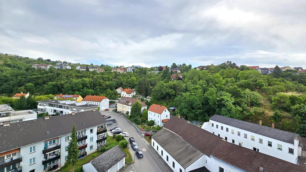 Ausensicht