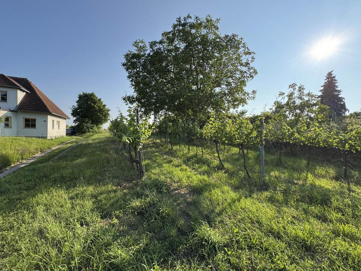 Baugrundstck