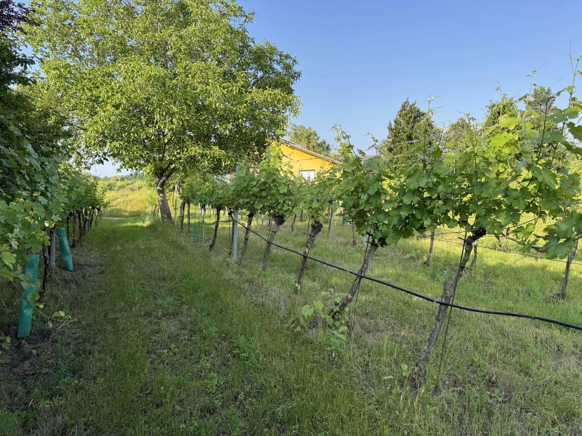 Baugrundstck
