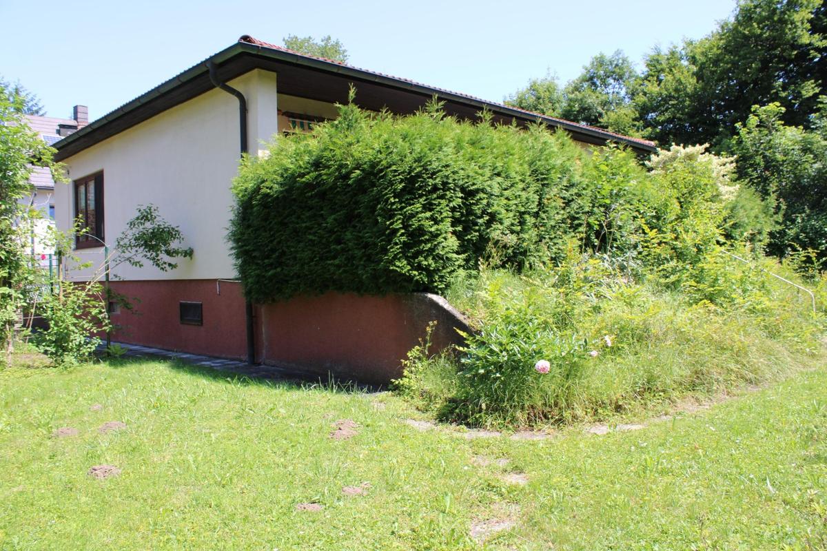 Garten 4