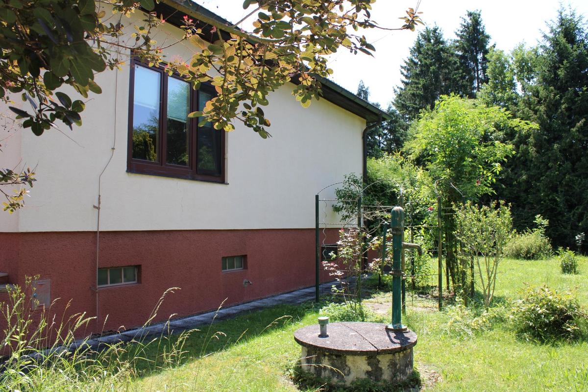 Garten_5