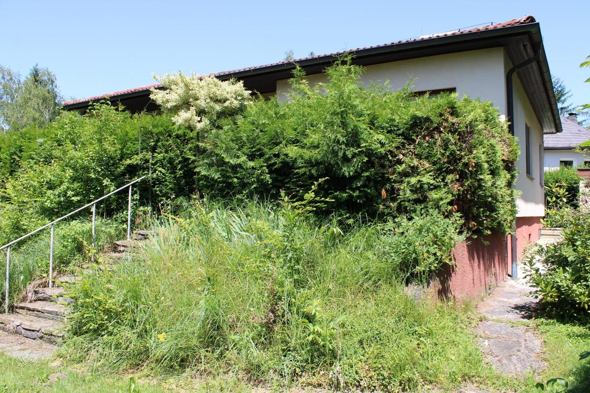 Garten_3